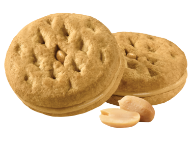 Biscuit