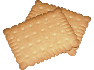 Biscuit
