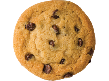 Biscuit