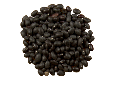 Black Turtle Bean