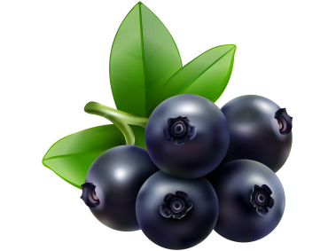 Blueberries