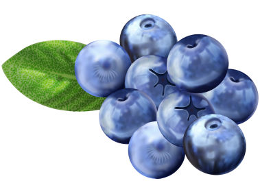Blueberries