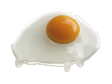 Boiled Egg