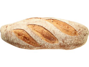 Bread