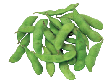 Broad Bean