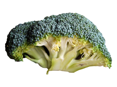 Broccoli