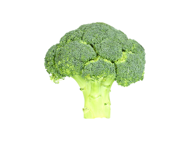 Broccoli