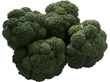 Broccoli