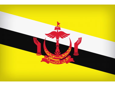 Brunei Large Flag