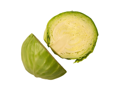 Cabbage