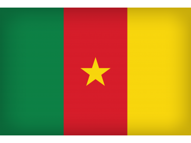 Cameroon Large Flag