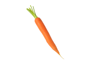 Carrot