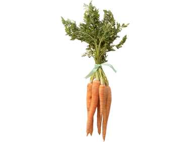 Carrots