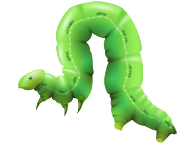 Caterpillar