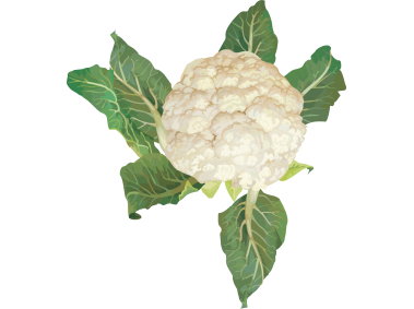 Cauliflower