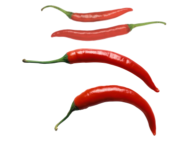 Chile Pepper