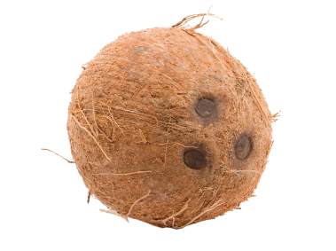 Coconut
