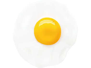 Cooked Egg