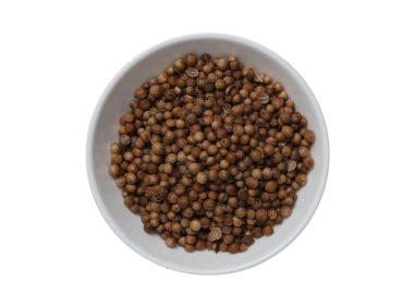 Coriander