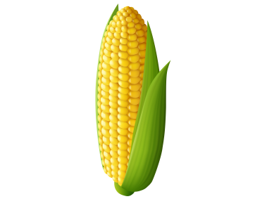 Corn