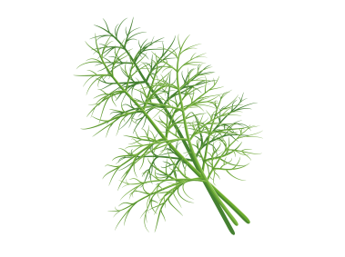 Dill