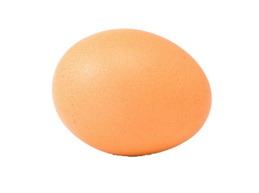 Egg