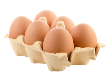Egg