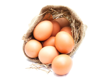 Egg