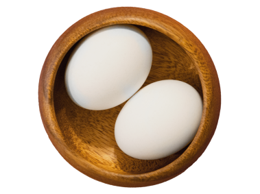 Egg