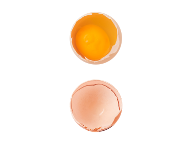 Egg
