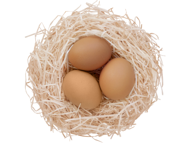 Eggs Nestle
