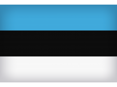 Estonia Large Flag