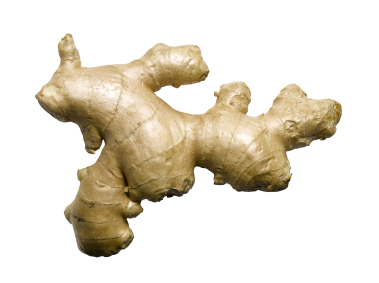 Ginger