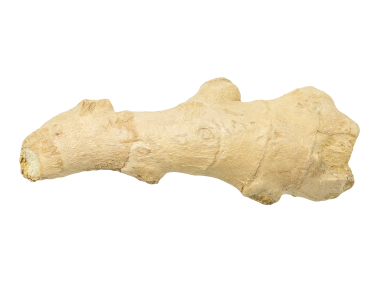 Ginger