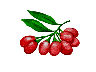 Goji Berries