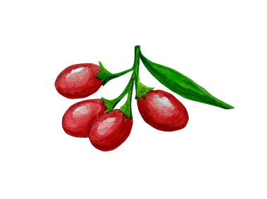 Goji Berries