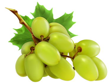Grape