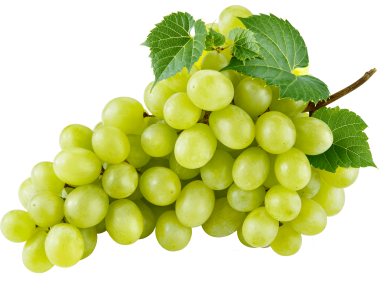 Grape