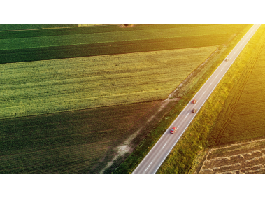Green Fields Wallpaper
