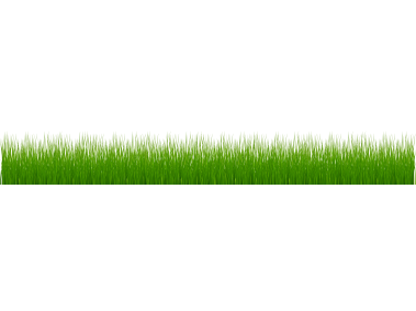 Green Grass