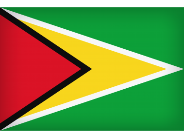Guyana Large Flag