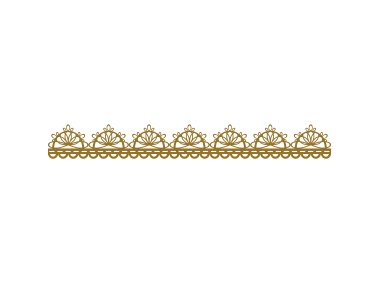 Lacy Border