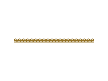 Lacy Border