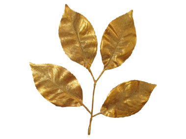 Leaf