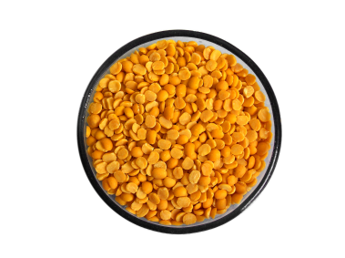 Lentil