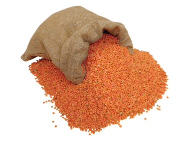 Lentils in sack