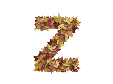 Letter Z from Dry Leaves