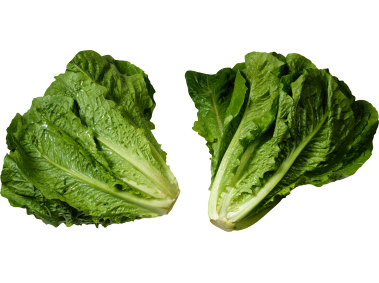 Lettuce