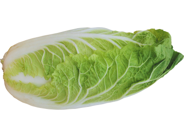 Lettuce