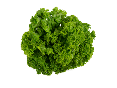 Lettuce